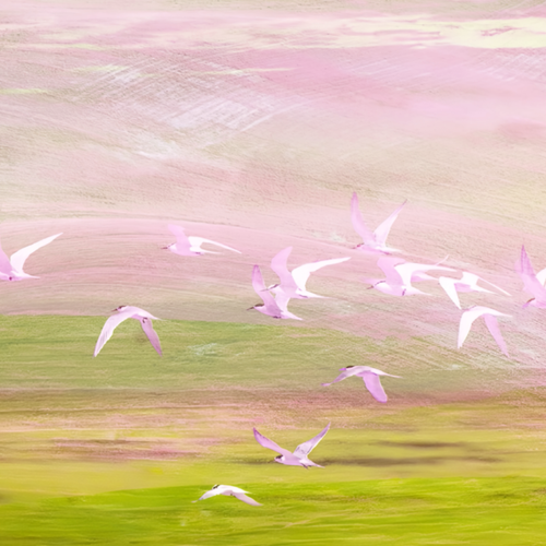 IMG 20260417 235337.png