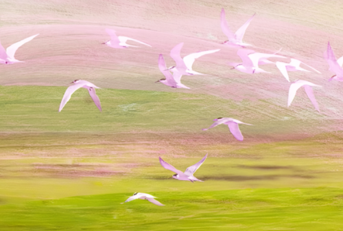 IMG 20260418 001121.png