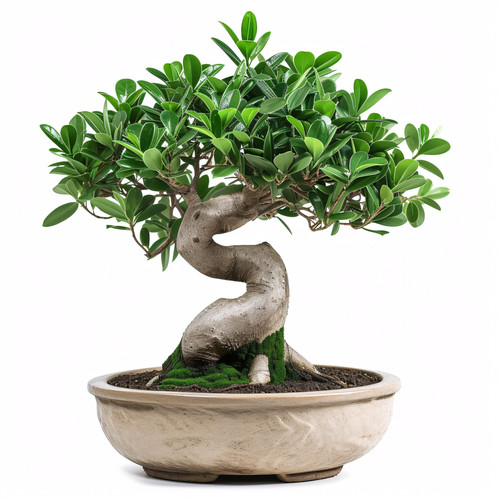 ai generated 8544835 1920.jpg