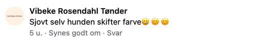 vibeke comment.png