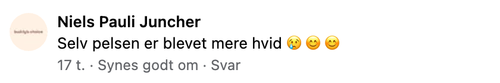 niels comment.png