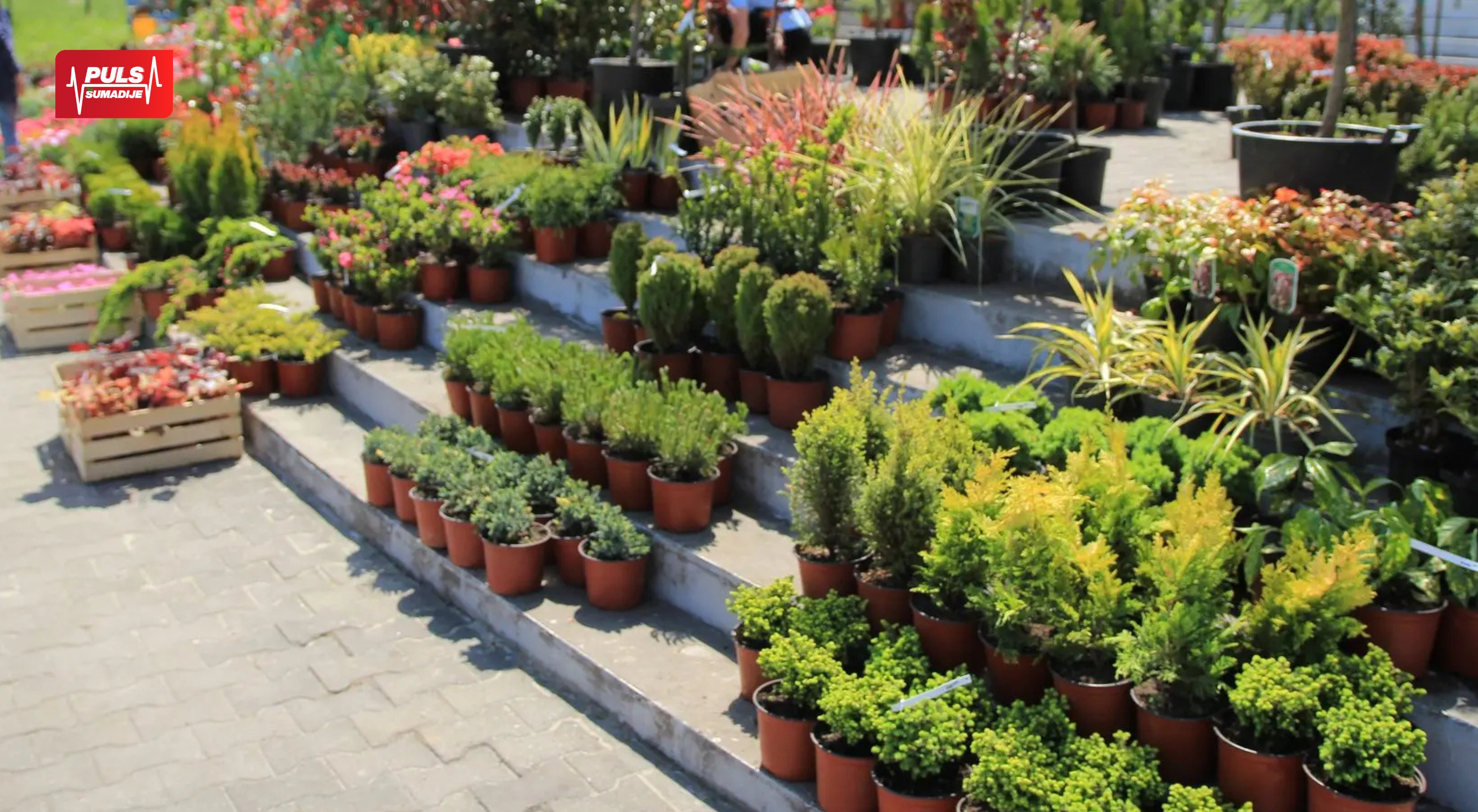 SVE ZA BAŠTU NA JEDNOM MESTU: Uskoro počinje Sajam hortikulture u Kragujevcu!