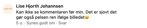 lise comment.png