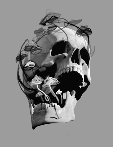 IMG 5321.png