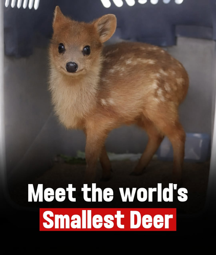 image 2026 04 17T141142.398.png