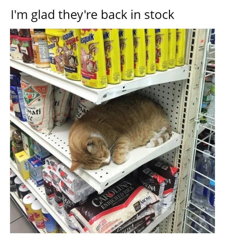 image 2026 04 17T141158.558.png