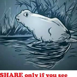 image 2026 04 17T141209.171.png