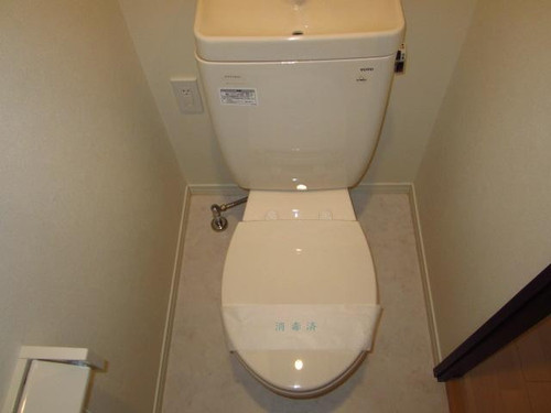 a45392a91997.jpg