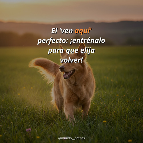0933ee9eb0f3.jpg