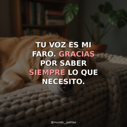 09a88e5b0faf.jpg