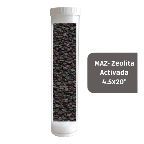 FFC MAZ 4520.png