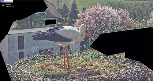 MWSnap395.jpg