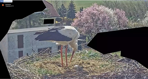 MWSnap396.jpg