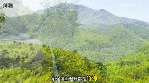 frame 0003.jpg
