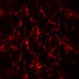 ezgif 81b0a6a419d99b11.gif