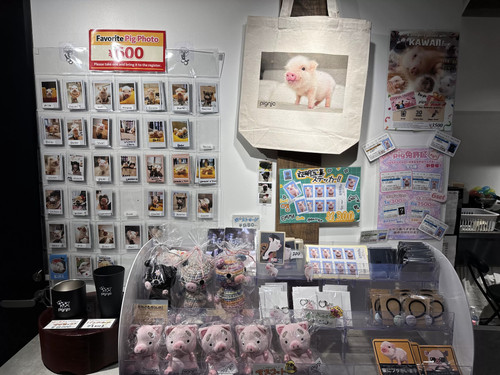 idlefish msg 1776395422489.png.jpg