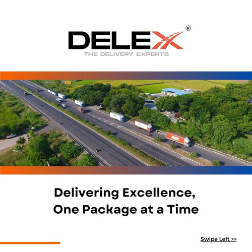 Delex Packaging Service Ahmedabad.jpg