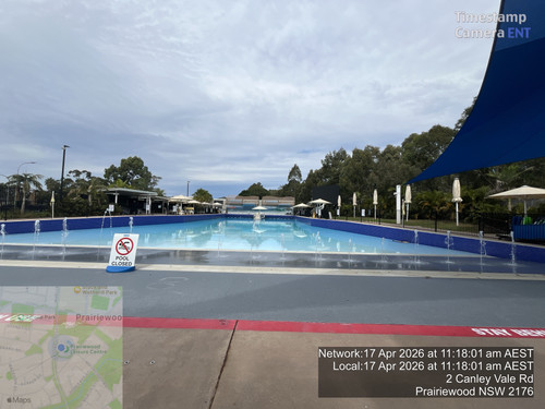 Pool and Plant.jpg