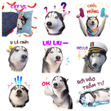 image3.png