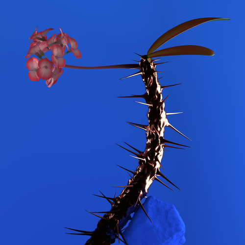 9cd320cf32b8.png