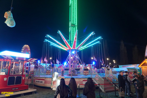 DSC08879 Watermarked.jpg