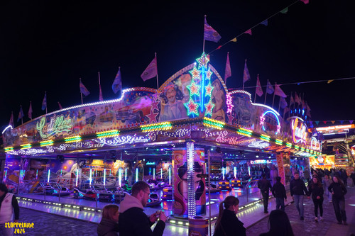 DSC08886 Watermarked.jpg