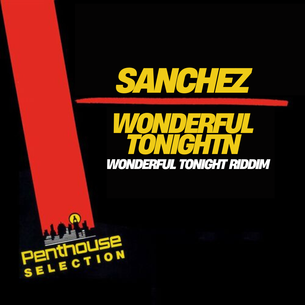 Sanchez - Wonderful Tonight