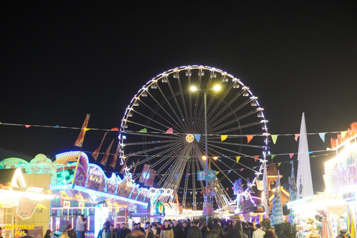 DSC08978 Watermarked.jpg