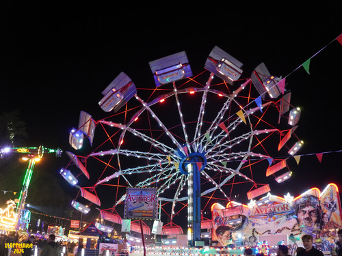 DSC08968 Watermarked.jpg