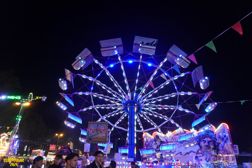 DSC08973 Watermarked.jpg