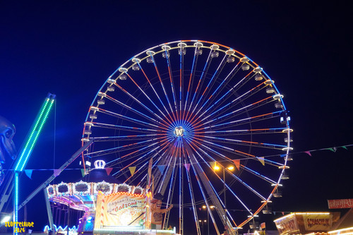 DSC08990 Watermarked.jpg