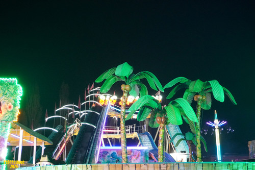 DSC08989 Watermarked.jpg