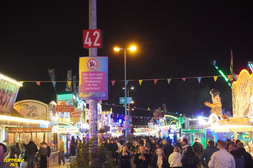 DSC08993 Watermarked.jpg