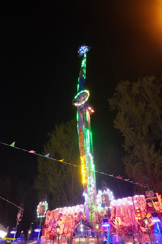 DSC08939 Watermarked.jpg