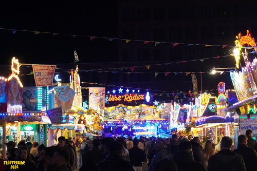 DSC09153 Watermarked.jpg