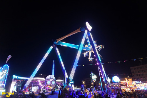 DSC09137 Watermarked.jpg