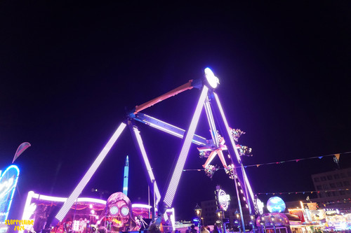 DSC09139 Watermarked.jpg