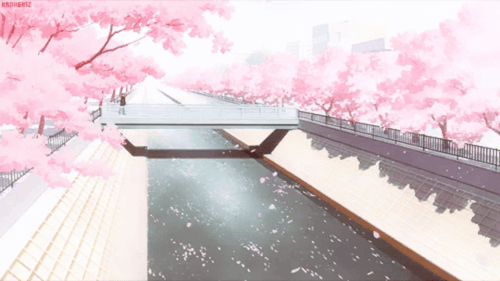 download 20260418 043623 0000.gif