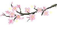 linhas de flores.webp