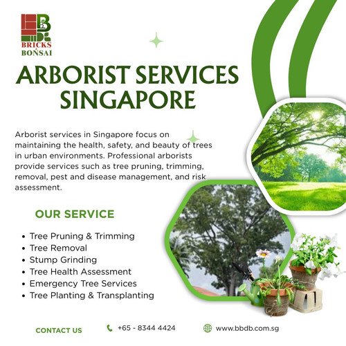 Arborist services Singapore.jpg