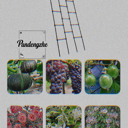 1776419224151.jpg