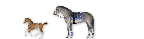 MyHorsez Banner.png