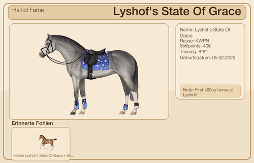 MyHorsez Banner.png