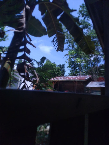 be9219d0bbd9.jpg