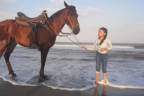 Premier Horseback Riding in Cartagena | Book with Cartagena ATV.png
