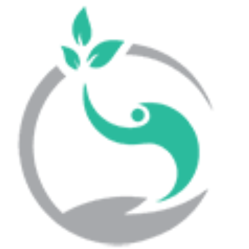 silver logo.png