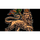 source.png