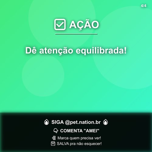 carousel 1776434404085 slide4.png