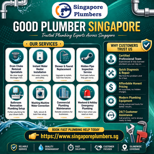 Trustworthy plumbing services in Singapore.png