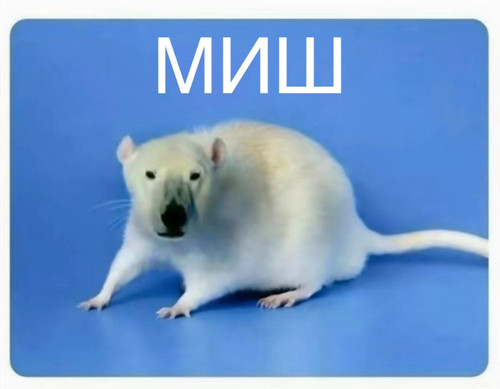 2026 03 03 12.29.36.jpg